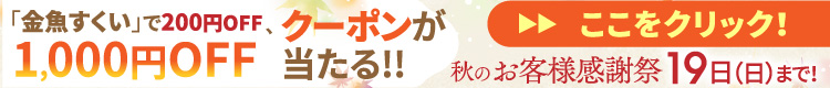 秋のお客様感謝祭