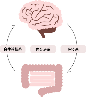 脳と腸の関係